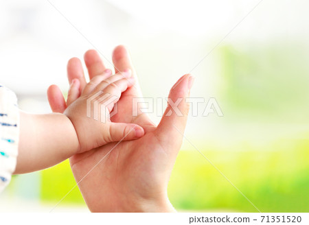 Mother and baby hold hands Parent-child contact Mother and baby hold hands Parent-child contact 71351520
