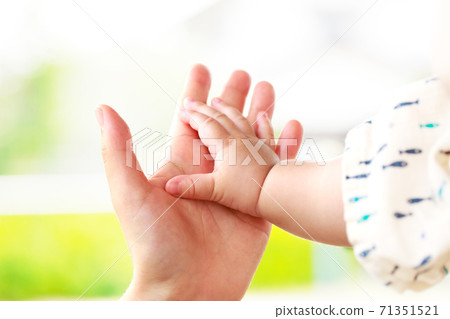 Mother and baby hold hands Parent-child contact Mother and baby hold hands Parent-child contact 71351521
