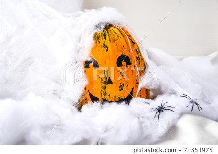 Pumpkin with painted face on a colored background for Halloween. Spider web. Holiday decorations. Pumpkin with painted face on a colored background for Halloween. Spider web. Holiday decorations. 71351975