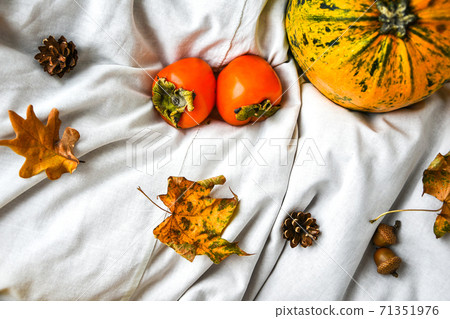 Pumpkin on white clothes background. Autumn harvest. Copy space. Persimmons and leaves Pumpkin on white clothes background. Autumn harvest. Copy space. Persimmons and leaves 71351976