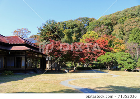 前南埠家庭別墅花園裡的秋葉 71352036