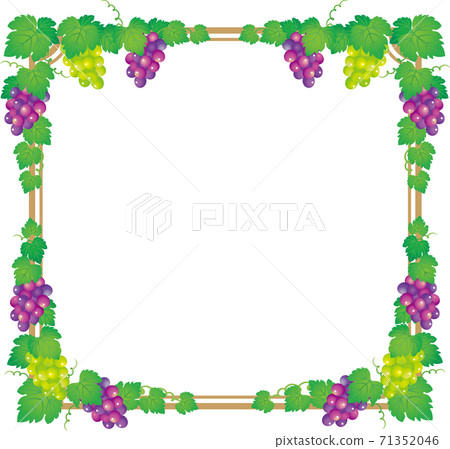 Grape frame Grape frame 71352046