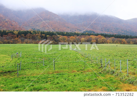 宮城Onikobe的秋天牧場的秋葉和風景 宮城Onikobe的秋天牧場的秋葉和風景 71352282