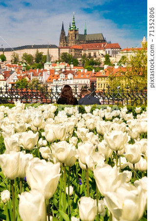 Beautiful streets of Prague, the capital of the Czech Republic 71352806