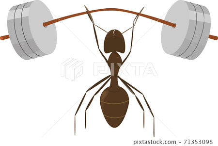 little ant raises barbell 71353098