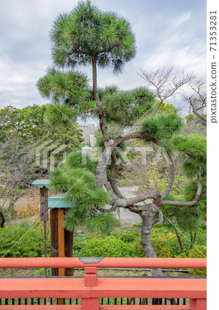 寬永寺 71353281
