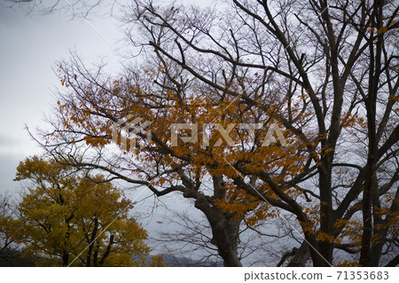 忠北歌山郡貢林寺 71353683