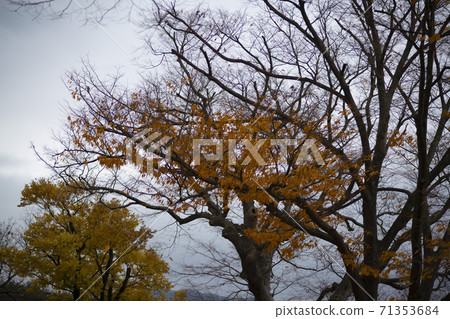 忠北歌山郡貢林寺 忠北歌山郡貢林寺 71353684