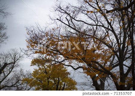 Gonglimsa Temple, Goesan-gun, Chungbuk 71353707