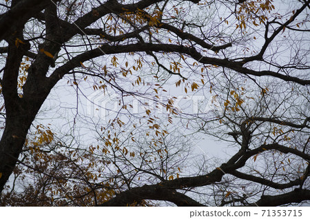 Gonglimsa Temple, Goesan-gun, Chungbuk 71353715