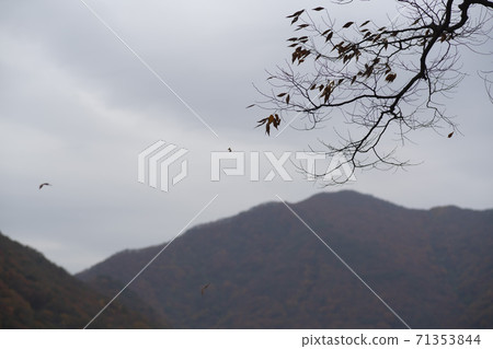 Gonglimsa Temple, Goesan-gun, Chungbuk 71353844