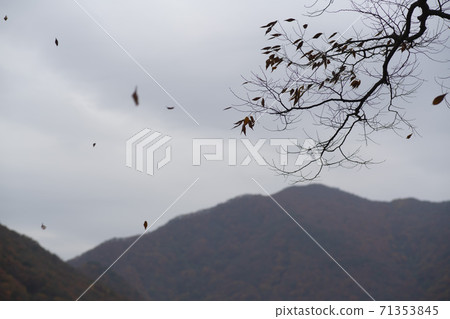 Gonglimsa Temple, Goesan-gun, Chungbuk Gonglimsa Temple, Goesan-gun, Chungbuk 71353845