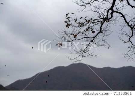 Gonglimsa Temple, Goesan-gun, Chungbuk Gonglimsa Temple, Goesan-gun, Chungbuk 71353861