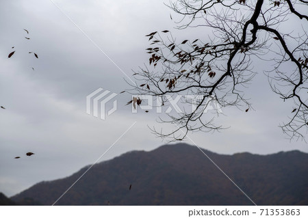 Gonglimsa Temple, Goesan-gun, Chungbuk 71353863