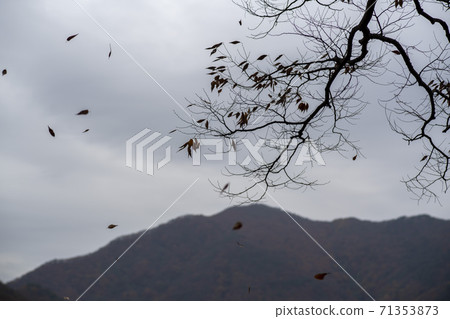 Gonglimsa Temple, Goesan-gun, Chungbuk 71353873