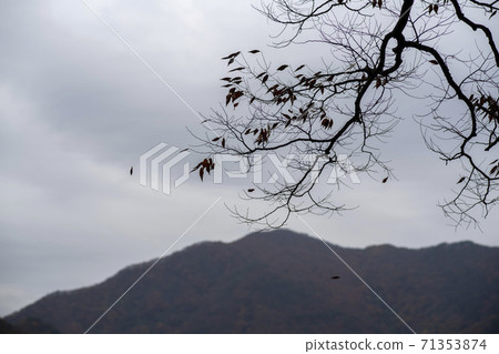 忠北歌山郡貢林寺 忠北歌山郡貢林寺 71353874