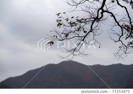 忠北歌山郡貢林寺 71353875