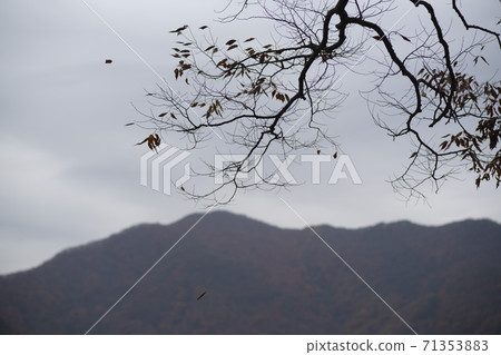 Gonglimsa Temple, Goesan-gun, Chungbuk 71353883