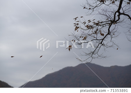 Gonglimsa Temple, Goesan-gun, Chungbuk 71353891