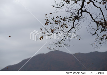 Gonglimsa Temple, Goesan-gun, Chungbuk 71353901