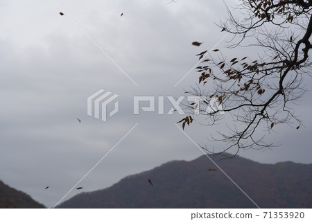 Gonglimsa Temple, Goesan-gun, Chungbuk Gonglimsa Temple, Goesan-gun, Chungbuk 71353920
