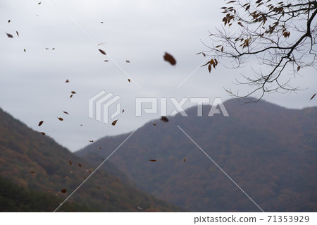 忠北歌山郡貢林寺 71353929