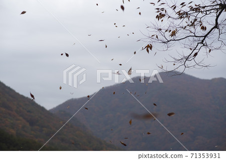 Gonglimsa Temple, Goesan-gun, Chungbuk Gonglimsa Temple, Goesan-gun, Chungbuk 71353931