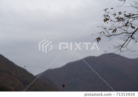 Gonglimsa Temple, Goesan-gun, Chungbuk Gonglimsa Temple, Goesan-gun, Chungbuk 71353939
