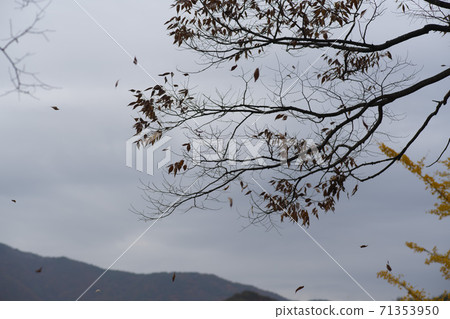 忠北歌山郡貢林寺 71353950