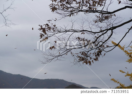 Gonglimsa Temple, Goesan-gun, Chungbuk Gonglimsa Temple, Goesan-gun, Chungbuk 71353951