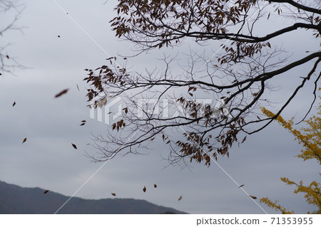 忠北歌山郡貢林寺 71353955