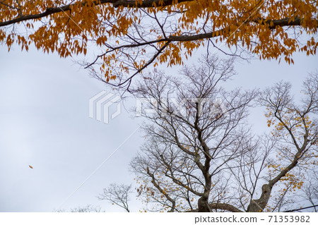Gonglimsa Temple, Goesan-gun, Chungbuk Gonglimsa Temple, Goesan-gun, Chungbuk 71353982