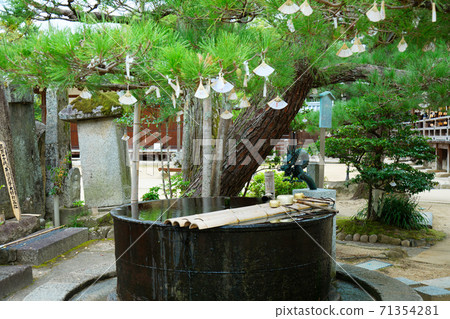 千住寺Tesuisha和Omikuji Amahashi Tate 71354281