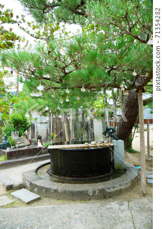 千住寺Tesuisha和Omikuji Amahashi Tate 71354282