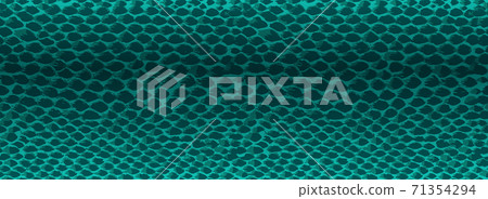 Snake skin green seamless vector texture. 71354294