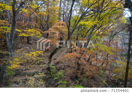 忠北歌山郡貢林寺 忠北歌山郡貢林寺 71354401