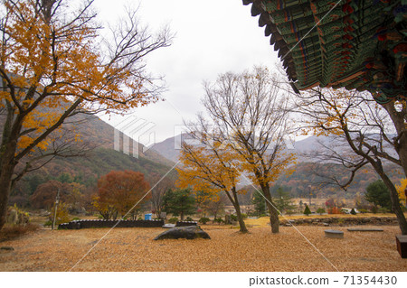 忠北歌山郡貢林寺 71354430