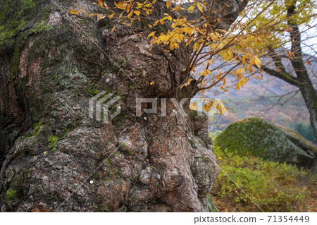Gonglimsa Temple, Goesan-gun, Chungbuk 71354449