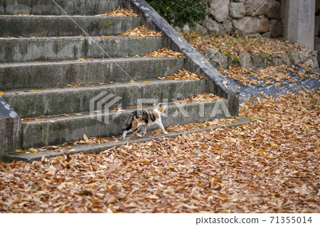 Gonglimsa Temple, Goesan-gun, Chungbuk 71355014