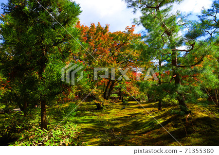 Scenery of Hogon-in Temple and Tenryuji Temple in Ukyo-ku, Kyoto (World Heritage Site), Kyoto, Temples, Autumn, History [November] 71355380