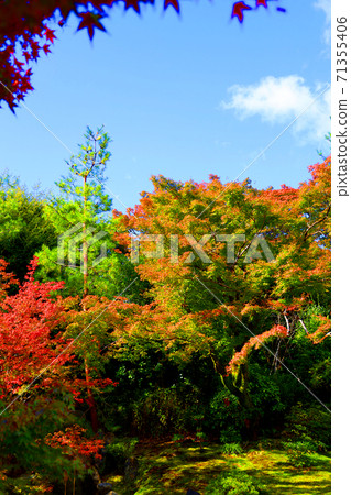 京都市（世界文化遺產），京都，寺廟，秋天，歷史[11月]宇京區霍根寧和天龍寺的風景 71355406