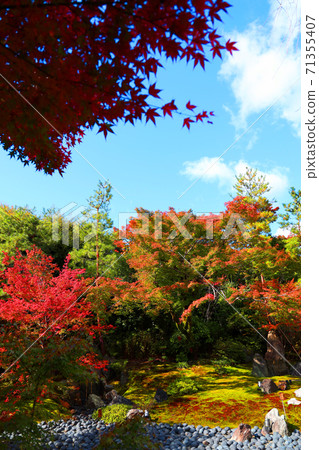 京都市（世界文化遺產），京都，寺廟，秋天，歷史[11月]宇京區霍根寧和天龍寺的風景 71355407