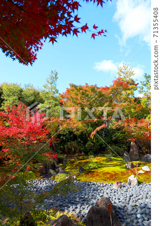 京都市（世界文化遺產），京都，寺廟，秋天，歷史[11月]宇京區霍根寧和天龍寺的風景 71355408