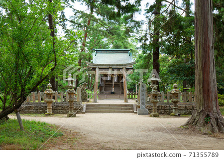 天橋立神社天橋立 天橋立神社天橋立 71355789