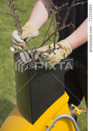 Gardening- shredding Gardening- shredding 71355865