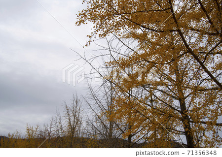 Mungwon Reservoir, Goesan-gun, Chungbuk Mungwon Reservoir, Goesan-gun, Chungbuk 71356348