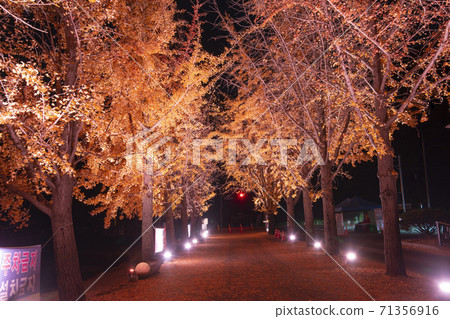 Mungwon Reservoir, Goesan-gun, Chungbuk 71356916