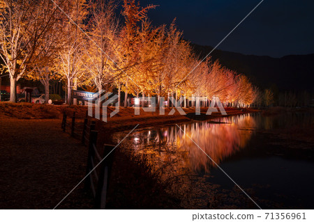 Mungwon Reservoir, Goesan-gun, Chungbuk Mungwon Reservoir, Goesan-gun, Chungbuk 71356961