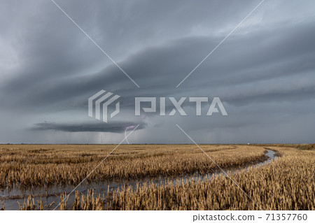 Lightning over the flooded rice fields in Albufera 71357760