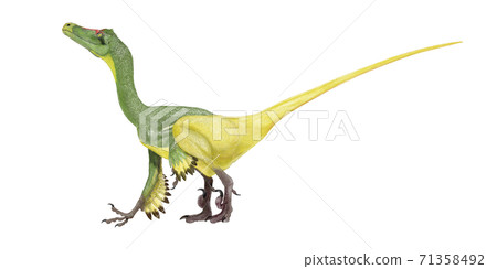 Velociraptor mongoliensis. Scouts that smell the wind 71358492